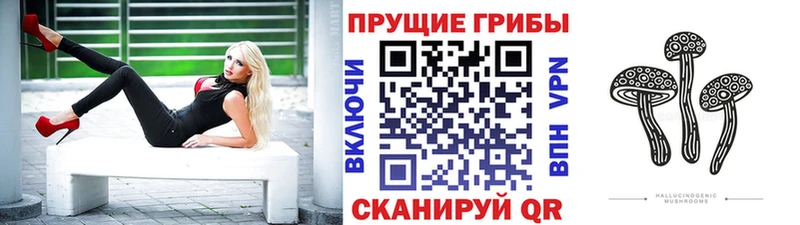 Купить закладки  Нерехта  Галлюциногенные грибы прущие грибы 